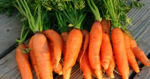 Carrots-Nantes-620x330
