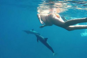 Hawaii-woman-announces-plan-to-use-dolphin-as-a-midwife