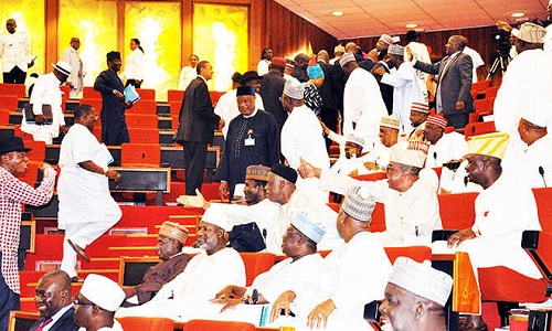 Rowdy-Senate-session