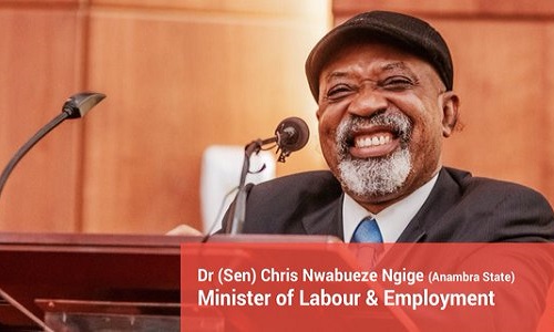 Minister of Labour and Employment-Chris Ngige
