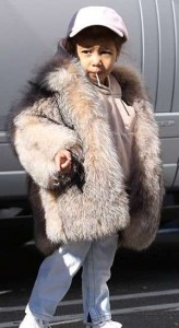 North-West-in-the-Fur-coat