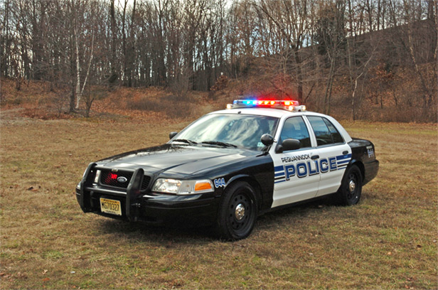  police car. Springettsbury Township police say the bizarre chain of