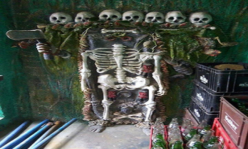 human-skeletal-remains