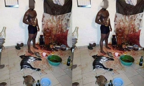 Human Parts Used To Prepare Concoction GTo Hypnotise Victims - Yahoo Plus Boy - INFORMATION NIGERIA