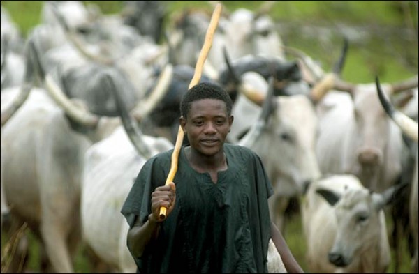 fulani herdsman