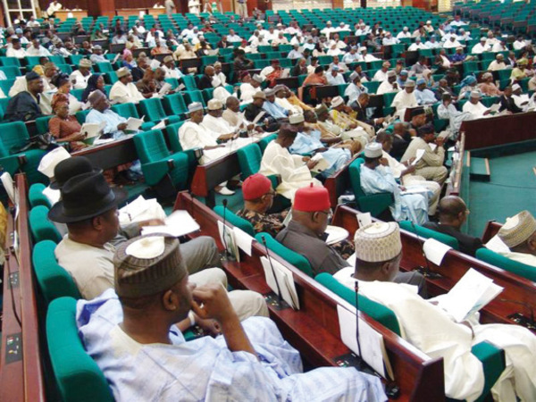 nigeria_reps_in_first_session