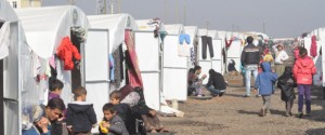 Syrians taking shelter in Turkey's Sanliurfa
