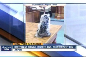 Colorado-man-brings-stuffed-owl-to-court-as-defense-counsel