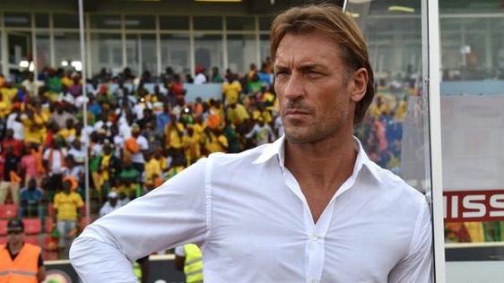 Herve Renard Resigns as Ivory Coast Coach. Image: AFP. 