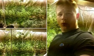 One of the incriminating cannabis selfies that trapped Richard Edmunds and Joshua Langmead. See SWNS story SWDRUGS: Langmead took pictures of the crop while Edmunds is pictured giving a thumbs-up sign as he grinned for the camera with the plants in the background. Both men worked at the same aerospace firm in North Devon and sold drugs to friends to pay off debts and pay for their own cannabis use.