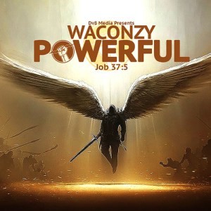 WACONZY-POWERFUL-300x300