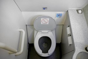 India-woman-injured-by-suspected-human-waste-from-airplane-bathroom