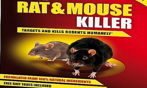 rat killer