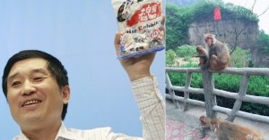Chinese Businessman Dies After Being Hit with Rock By Monkey
