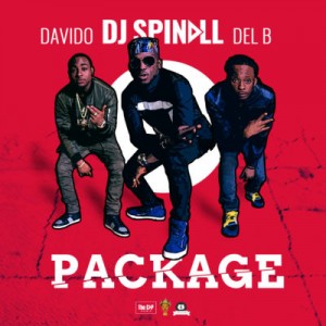 spinall-package-4