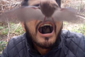 Activist-shoves-two-live-vampire-bats-into-his-mouth