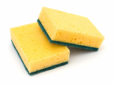 sponge