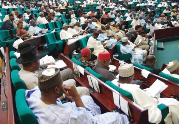 Image result for nigerian house of representatives