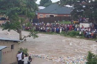 Image result for Flooding : 2,000 hectares of farmland submerged in Kwara