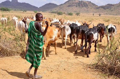 Tension mounts in Ekiti as suspected Fulani herdsmen kill hunter 