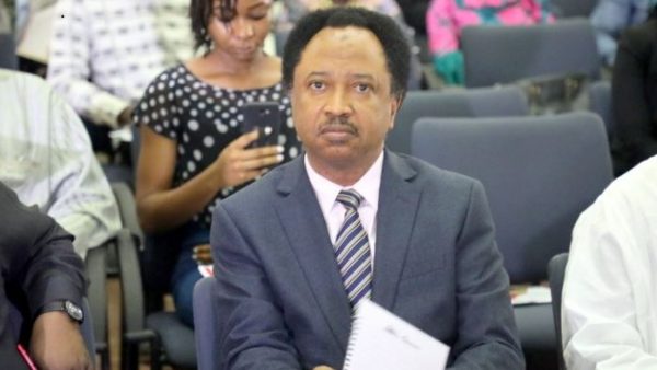 Shehu Sani: If You Can’t Find The Schools Tinubu Attended, You Can Find The Ones He Buil