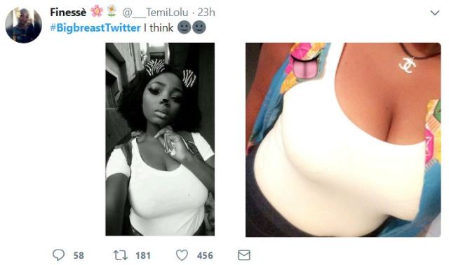 Nigerian ladies join #BigBreastTwitter trend and there are