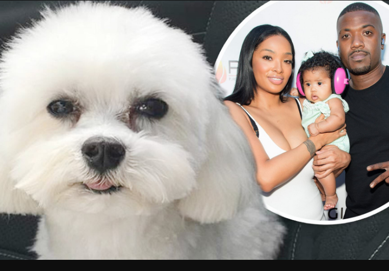 '$20k reward for anyone who finds our dog' - Ray J and wife Princess love announce their dog has been stolen
