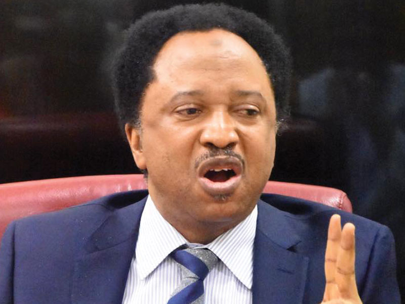 shehu sanni slams governors who don't stay in their states