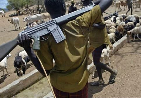 37 Confirmed Dead As Farmers And Herdsmen Clash In Chad