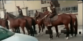 Lagosians resort to horses after okada ban