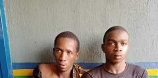 Cultists Arrested