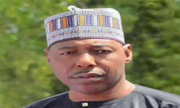 Zulum: Surrendered Insurgents Should Not Be Rejected To Avoid Endless War