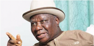 Don’t Discard State Police Over Fears Of Abuse By Governors, Edwin Clark Advises Buhari