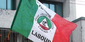 Strike: NLC Asks FG To Resolve Impasse With ASUU, NASU, Others In 21 Days