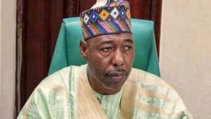 Names Of Babies Discovered On Borno Payroll – Gov Zulum