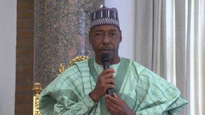 Why Power Should Shift To South In 2023 — Zulum