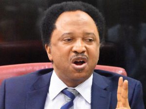 Shehu Sani: Power Rotation Needs To Be Clearly Stated In The Constitution