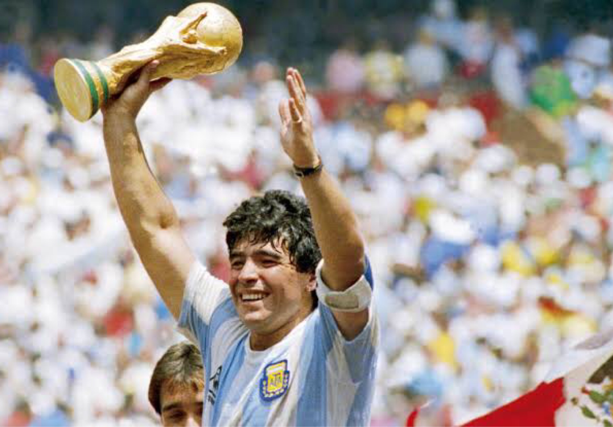 Diego Maradona: Biography And Facts (Video)