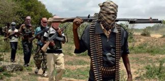 Over 50 persons abducted in Niger