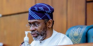 No Plot To Impeach Gbaja Over Water Resources Bill, Say Northern Reps
