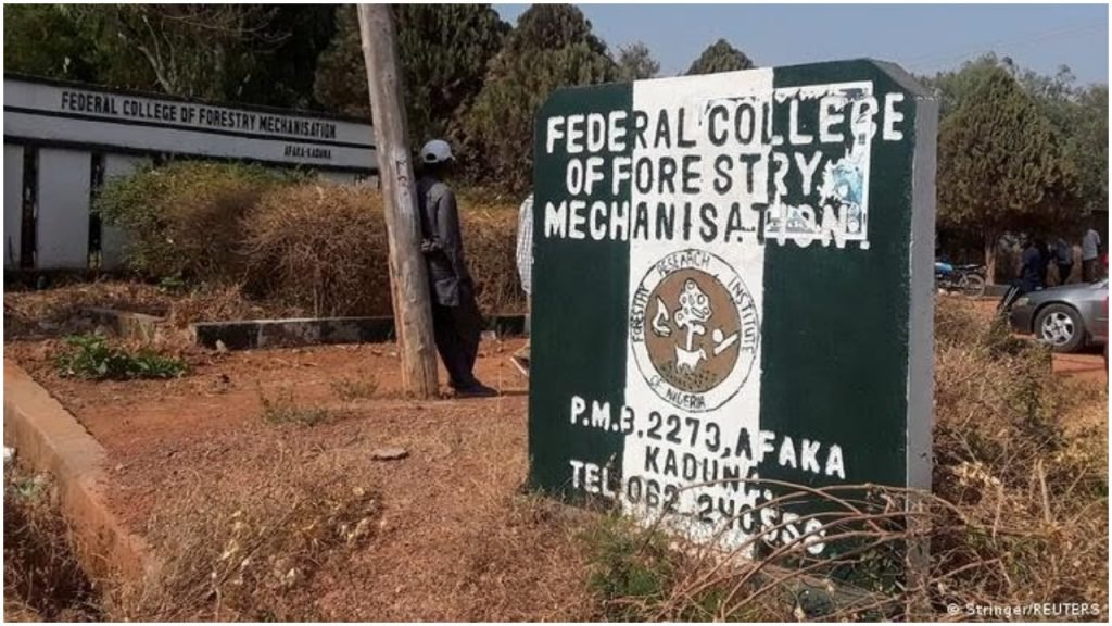 BREAKING: 29 College Students Abducted In Kaduna Regain Freedom -  Information Nigeria
