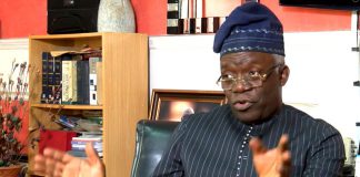 Ministers Who Resigned Can Only Be Reappointed After Senate Confirmation, Says Falana