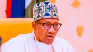 Buhari Has Been Caged, Says Northern Youth Group