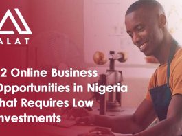 12 Online Business Opportunities in Nigeria That Requires Low Investments