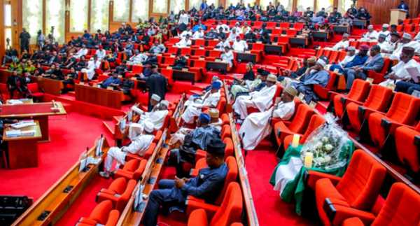 National Carrier Not Realistic — Senate