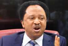 It’ll Be A Legacy Of Failure If Electoral Bill Isn’t Approved, Says Shehu Sani