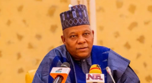 Nigeria Can’t Leave Security To Shettima – PDP