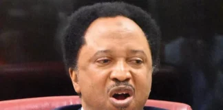Buhari May Be In Covenant With His Appointees – Shehu Sani Suggest