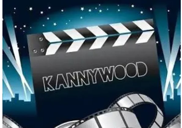 Kannywood Directors React To Ban By IGP On Use Of Police Kits In Films