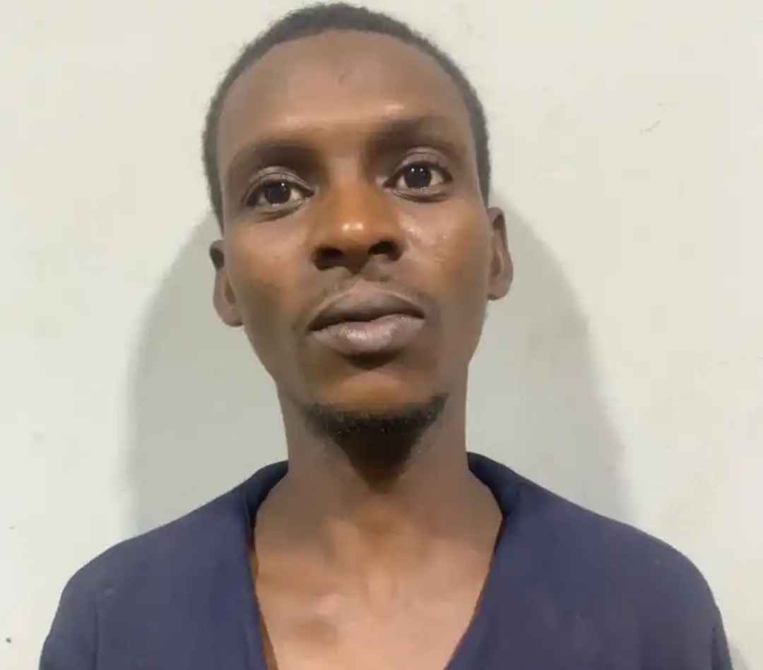 Police Arrest FCT Kidnap Kingpin Who Killed Ned Nwoko’s Aide